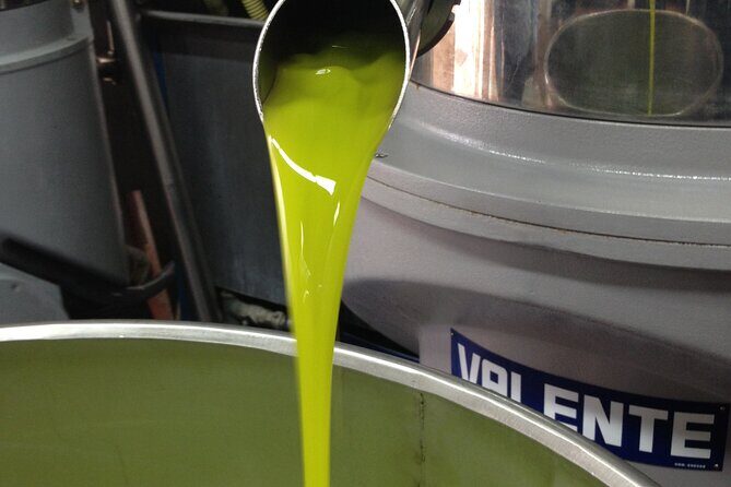 Olive Oil Private Full-Day Tour with Tasting in Valencia - An In-Depth Look at the Olive Oil Private Full-Day Tour in Valencia