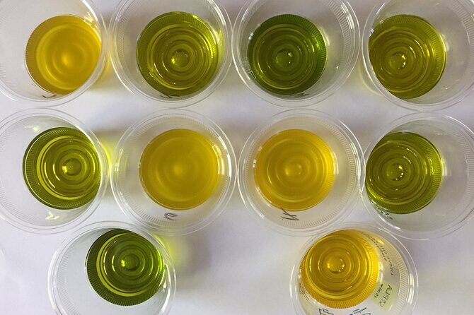 Olive Oil Private Full-Day Tour with Tasting in Valencia - The Sum Up: Is It Worth It?