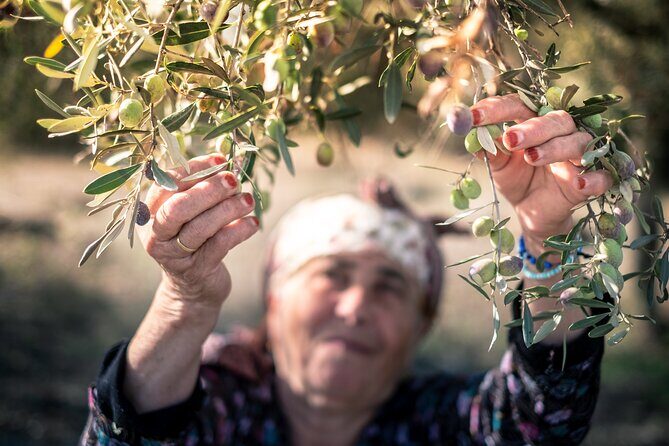 Olive Oil Private Tour in Portugal - Final Thoughts: Why This Tour Stands Out