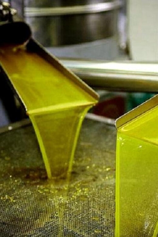 Olive oil Tasting 3-hour Trip from Chania Souda Cruise Port - Exploring Crete’s Olive Heritage: A Well-Rounded Tour