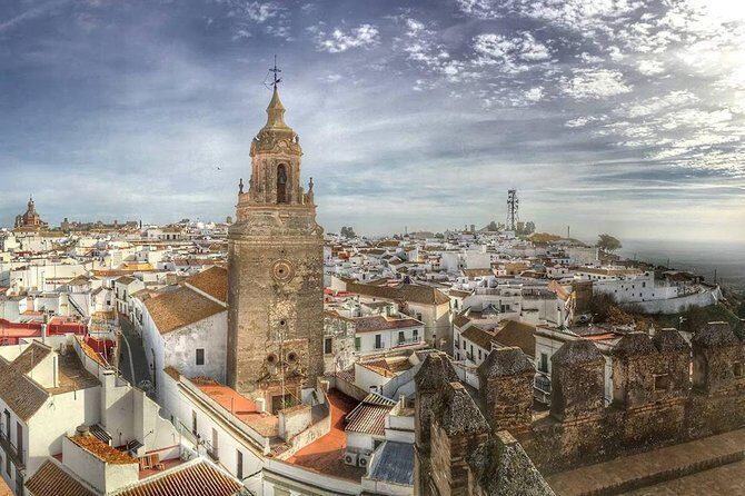 Olive Oil Tasting and Culinary Day Trip in Carmona - Exploring the Itinerary and What to Expect