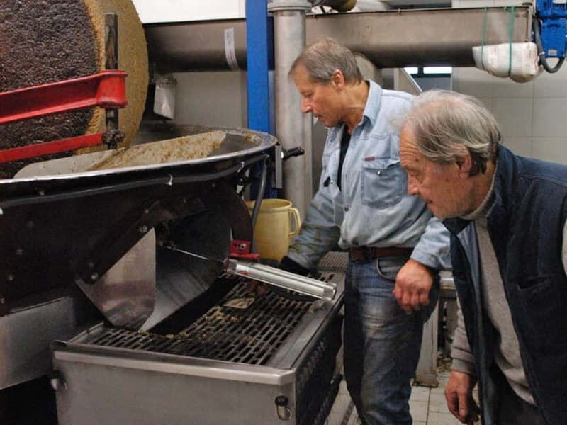 Olive Oil Tasting and Visit at Lake Como - A Closer Look at the Experience