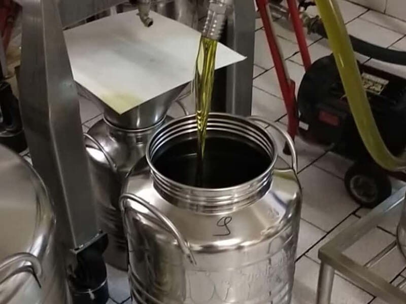 Olive Oil Tasting and Visit at Lake Como - Who Is This Tour Best For?
