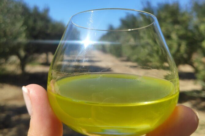 Olive Oil Tasting at the Mykonian Farm - An In-Depth Look at the Olive Oil Tasting Experience