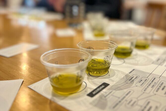 Olive Oil Tasting Experience in Sevilla - A Closer Look at the Olive Oil Tasting Experience in Seville
