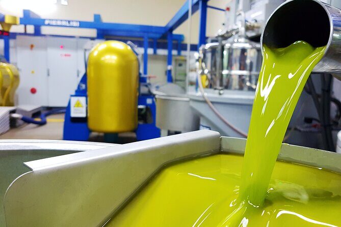 Olive Oil Tasting & Historic Olive Mill Tour in Ragusa area - Who Will Love This Tour?