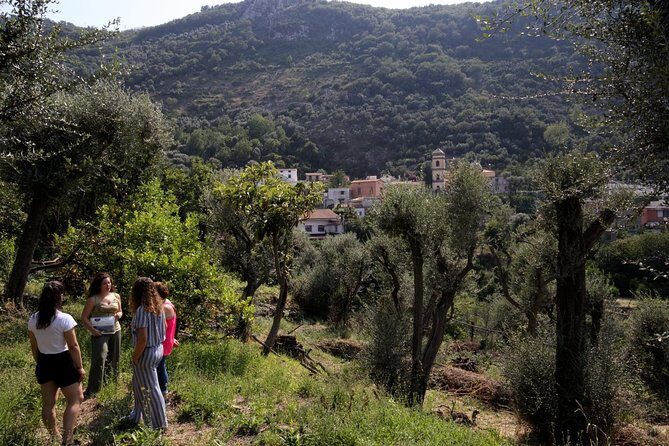 Olive oil tasting in Sorrento - FAQ