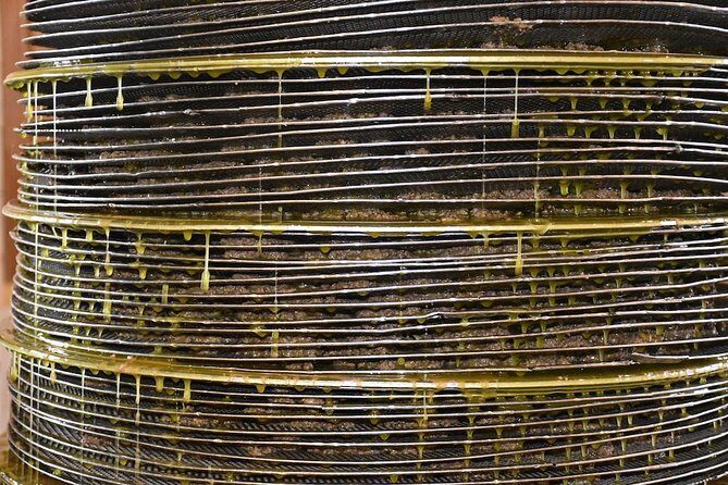 Olive Oil Tasting Tour - Key Points