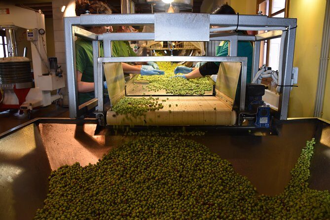 Olive Oil Tasting Tour - Who Will Enjoy This Tour?