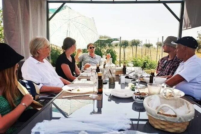 Olive oil tasting with seminar in Metagitsi - Halkidiki - A Genuine Taste of Halkidiki’s Olive Oils: Seminar and Tasting in Metagitsi
