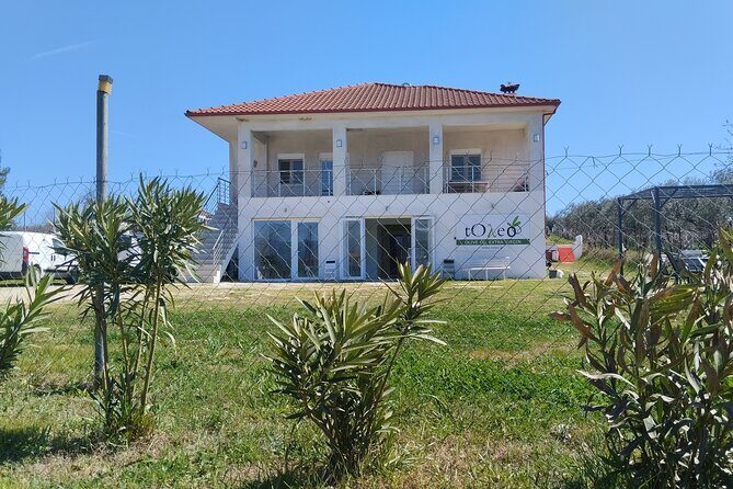 Olive oil tasting with seminar in Metagitsi - Halkidiki - A Deep Dive into the Olive Oil Tasting & Seminar Experience