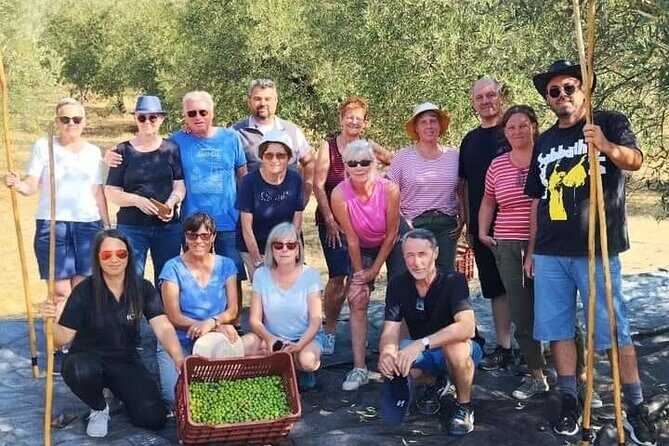 Olive oil tasting with seminar in Metagitsi - Halkidiki - The Sum Up