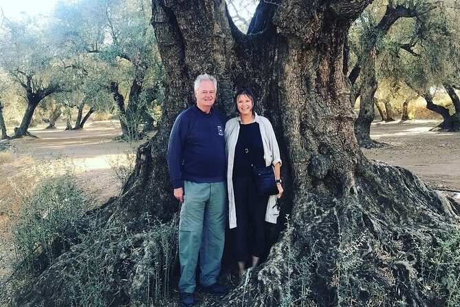Olive Oil Tour and Visit to Belchite Old Town - Who Will Love This Tour?