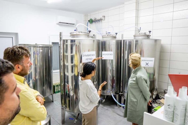 Olive Oil Tour with Tastings and Bottling - The Sum Up: Who Should Consider This Experience?