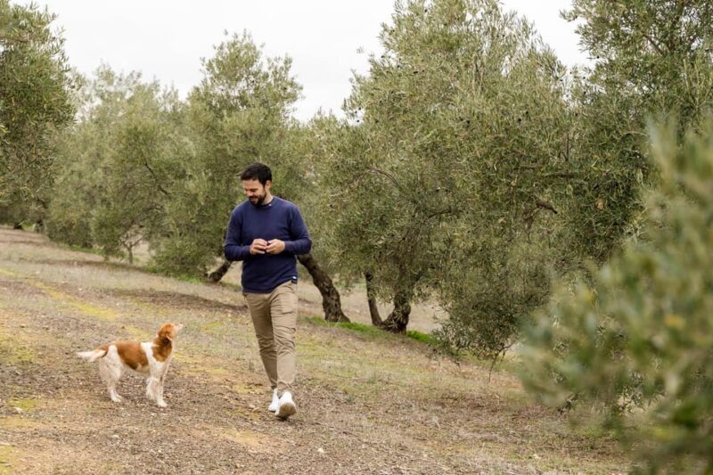 OLIVE OIL & WINE TOUR Organic fields - 5 Wines + 3Olive Oils - What Makes This Tour Stand Out