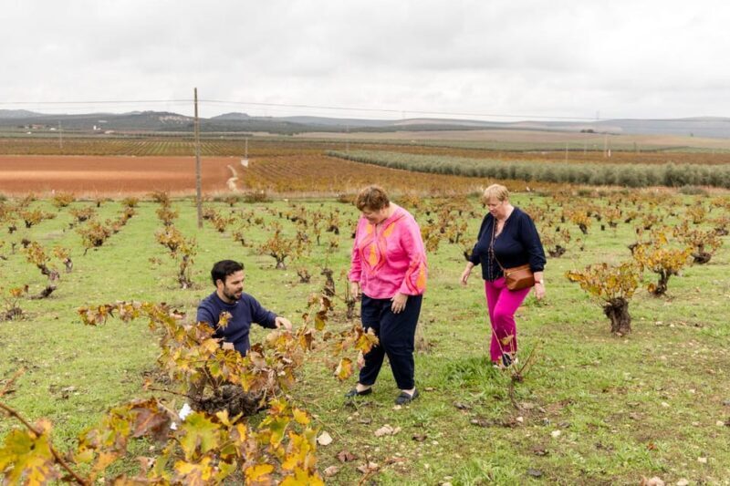 OLIVE OIL & WINE TOUR Organic fields - 5 Wines + 3Olive Oils - Frequently Asked Questions