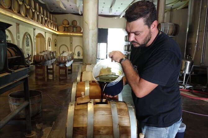 Olive oils, Gourmet products and Wines - An In-Depth Look at the Mendoza Gourmet Tour