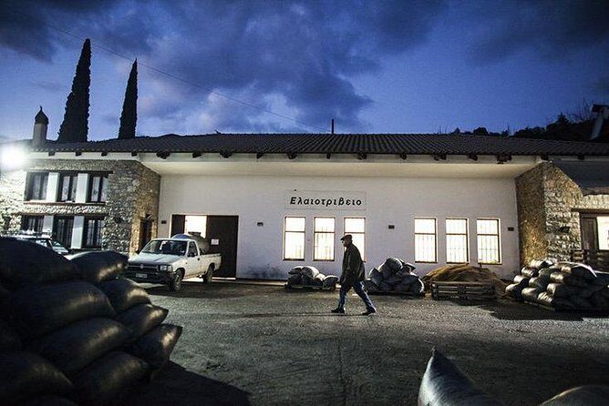 Olive Tour & Tasting - A Deep Dive into Greece’s Olive Heritage: Olive Tour & Tasting