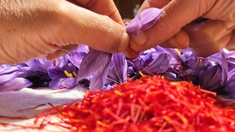 Olmedo: visit to the saffron workshop with tasting - FAQs