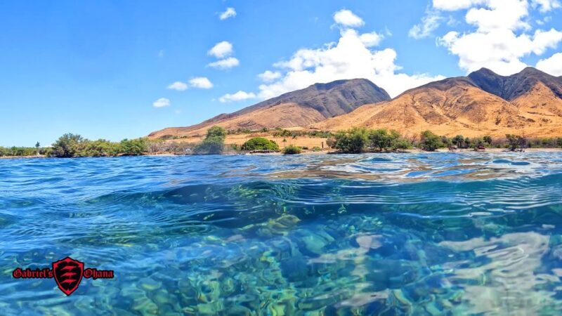 Olowalu: Guided Clear Kayak Tour - Unlimited - Who Should Consider This Tour