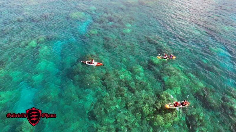 Olowalu: Guided Clear Kayak Tour - Unlimited - The Sum Up