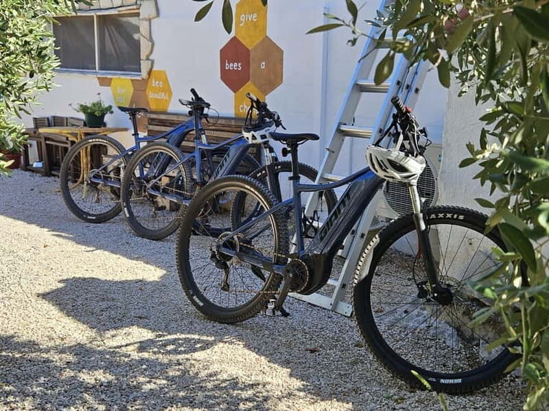 olta Island from Split: Private E-Bike Tour - Why This Tour Works for Different Travelers