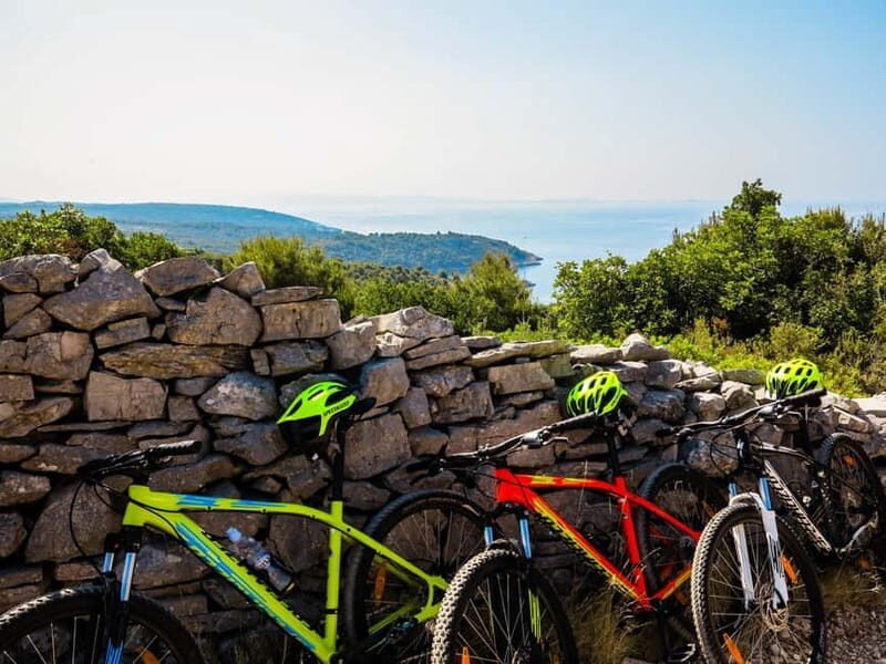 olta Island: Self-Guided Bike Tour - Key Points