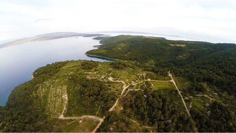 olta Island: Self-Guided Bike Tour - Final Thoughts