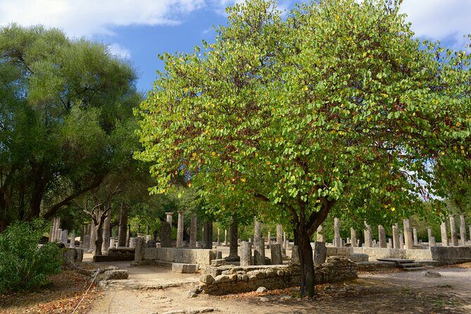 Olympia Tour & Archeological Museum - All Included - Key Points