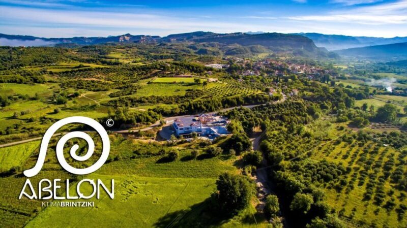 Olympia Treasures: Private Oil, Honey and Wine Tasting Tour - Key Points