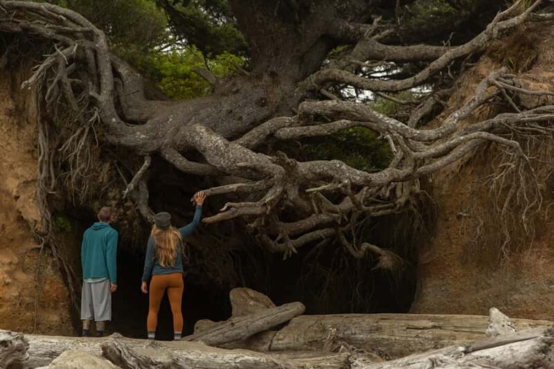 Olympic Full Day Private Tour & Hike - Who Should Consider This Tour?