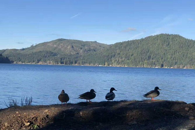 Olympic National Park Full-Day Tour W/ Scenic State Ferries - FAQ