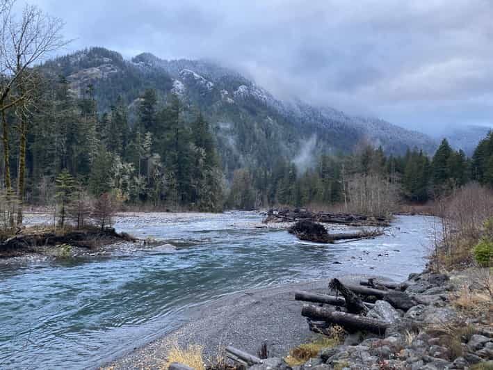 Olympic National Park: Half-Day Tour - Summary of What You’ll Experience