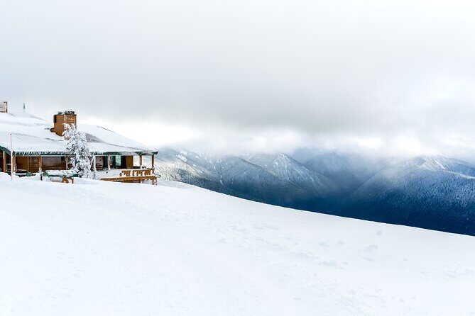 Olympic National Park Self-Guided Driving Audio Tour - A Deep Dive into the Olympic National Park Self-Guided Audio Tour