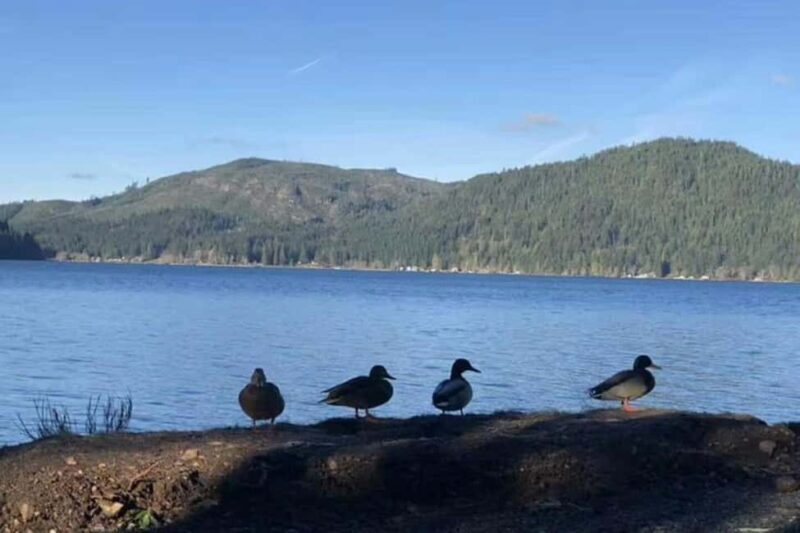 Olympic National Park Small Group Day Tour w/ State Ferries - Why This Tour Works
