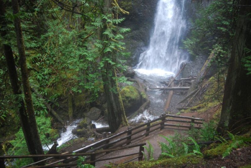 Olympic National Park: Sol Duc and Hurricane Ridge Tour - Exploring the Details of the Tour