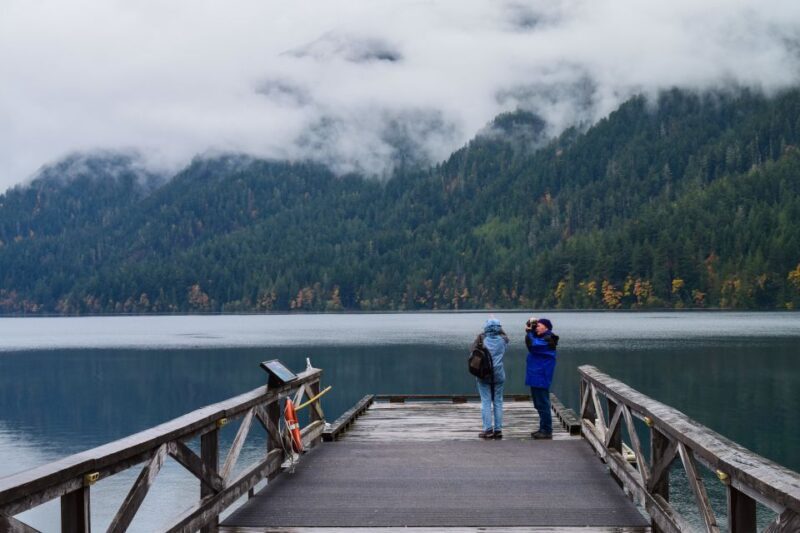 Olympic National Park: Sol Duc and Hurricane Ridge Tour - Authentic Insights from Other Travelers