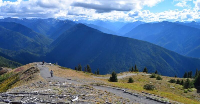 Olympic National Park: Sol Duc and Hurricane Ridge Tour - FAQ