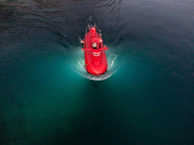 Omi: Semi-Submarine Underwater Adventure - Authentic Voices and Practical Insights