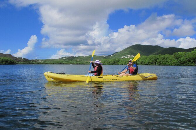 On Your Own: Kayak in the Mangrove Lagoon - FAQs