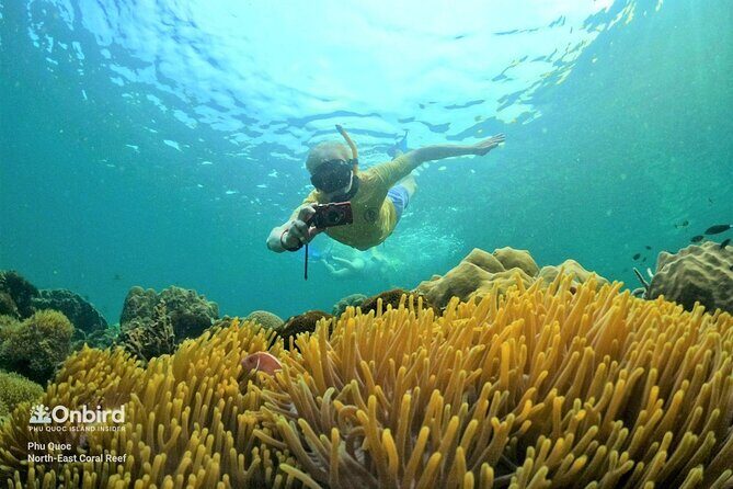 OnBird - PRIVATE ADVENTURE SNORKELING - explore Half-moon reef & Coral Mountain - Experience the Best of Phu Quoc with OnBird’s Private Snorkeling Adventure