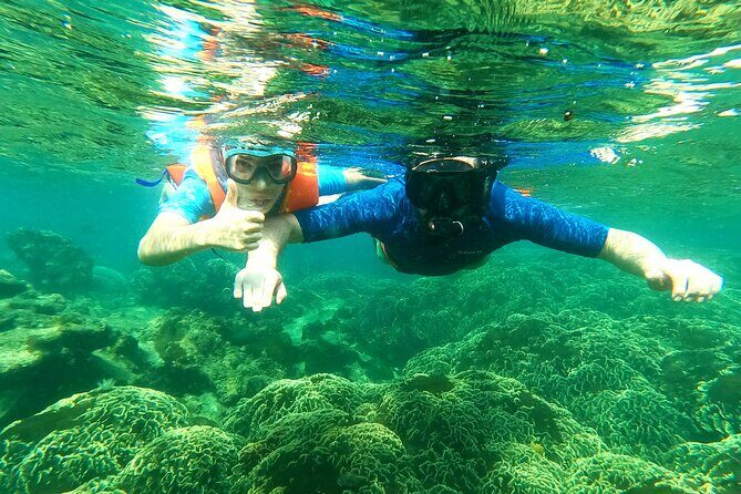 OnBird - Private family KID-FRIENDLY Snorkeling trip by speedboat in Phu Quoc - The Complete Review of the OnBird Snorkeling Experience in Phu Quoc