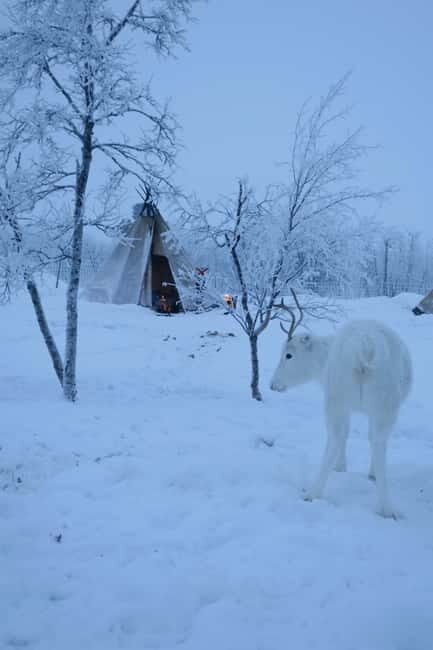 Once-in-a-lifetime Snowmobile Safari to Lapland Viewpoint - The Sum Up