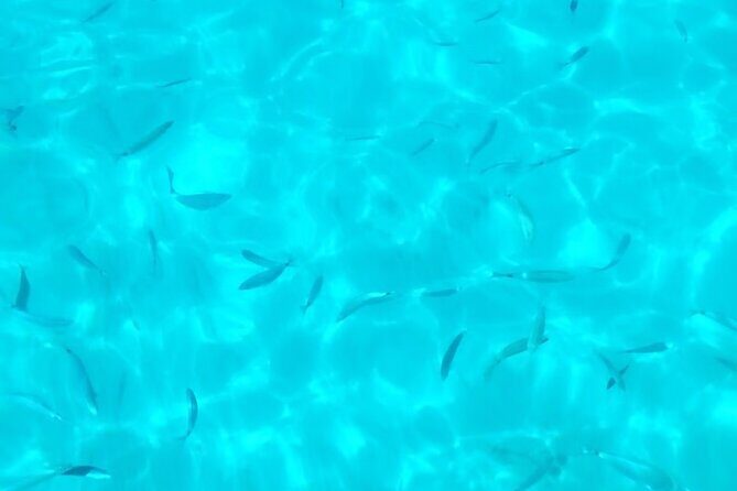 One and a half hour boat excursion to Scala Dei Turchi - Final Thoughts