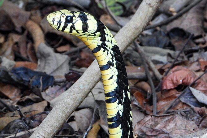 One-day adventure in Corcovado National Park - FAQ