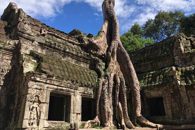 One Day Angkor Wat Bayon Ta Prohm From Siem Reap - A Detailed Look at Your 9-Hour Adventure Through Angkor