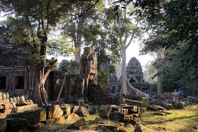 One Day Angkor Wat Bayon Ta Prohm From Siem Reap - Who Should Consider This Tour?