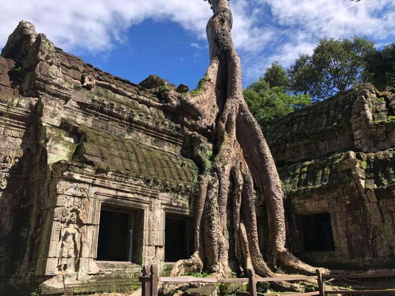One Day Angkor Wat Bayon Ta Prohm from Siem Reap - Practical Tips for the Day