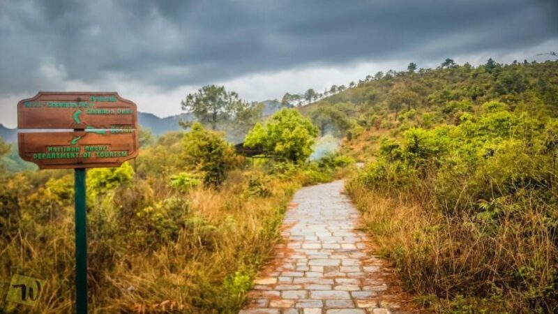 One day Champadevi hike (Kathmandu-Champadevi) - Authentic Experiences and Honest Feedback