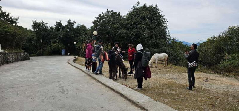 One Day Chandragiri Hill Private Tour - Practical Details and What to Expect